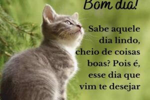 aplicativo de mensagem de bom dia